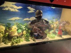 -小山日本料理(兴业太古汇店)