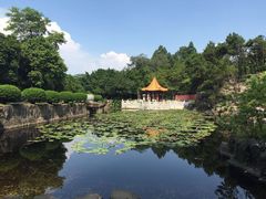 -三水森林公园