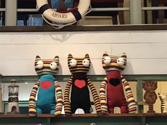 -猫咪博物馆(顶澳仔猫街店)