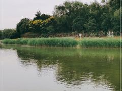 -大兴滨河森林公园