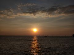 -招商蛇口邮轮母港(观光客运)