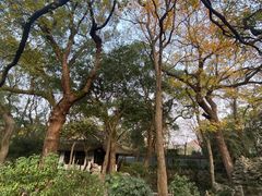 -绮园景区