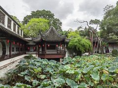 -上海醉白池公园