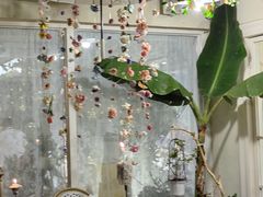 -秀儿家の小确幸花园西餐厅
