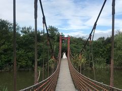 -吴淞炮台湾湿地森林公园烧烤区