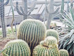 -南山植物园