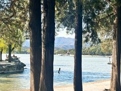 -宫事颐庭·老佛爷贵寿下午茶(颐和园店)