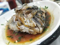 -金海湾海鲜排档(朱家尖店)