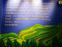 -贵凤凰贵州米粉(望京店)
