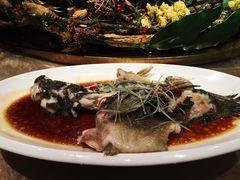 -福禧酒窖·中餐厅 (万柳店)