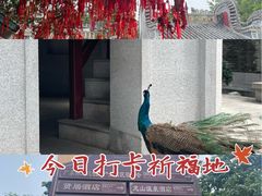-国恩寺