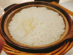 -饭怕鱼·黄焖鲟龙鱼(湖大店)