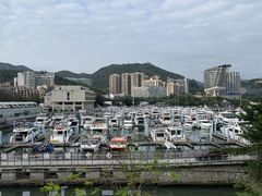 -大梅沙海滨公园