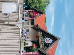 -上海海湾国家森林公园