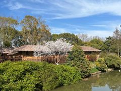 -上海野生动物园