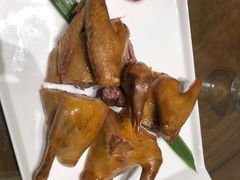 -燕郊烧鸽子(广安路店)