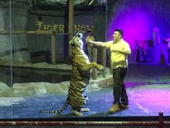 -清迈夜间动物园