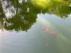 -空军总医院-综合保障餐厅