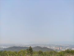 -风云岭森林公园
