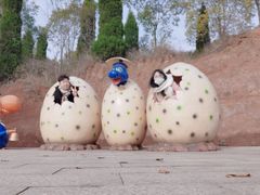 -中国西峡恐龙遗迹园