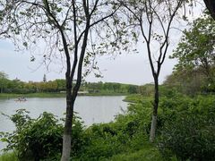 -海珠湖公园