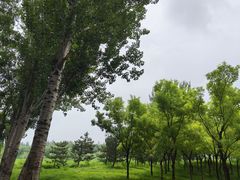 -东郊湿地公园
