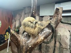 -正佳雨林生态植物园
