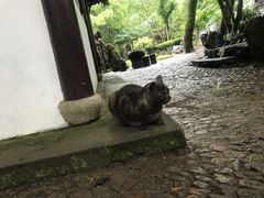 -绮园景区