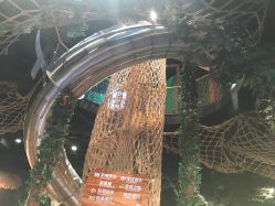 -奇幻丛林(佛罗伦萨小镇店)