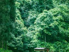 -龙苍沟森林公园
