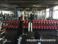 -菲特游泳健身(龙行店)