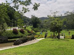 -黄埔油麻山森林公园