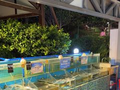 -渔家火锅·海鲜自助餐·演艺(亚龙湾天域酒店)