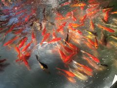 -水上乐园·欢乐世界