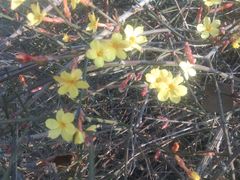 -元大都城垣遗址公园