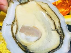 -斯普汇生蚝牛排馆(中骏世界城店)