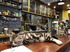 -咖法森林·咖啡  酒吧(天河店)