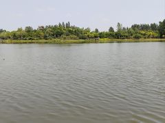 -东郊湿地公园