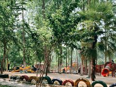 -合肥滨湖国家森林公园