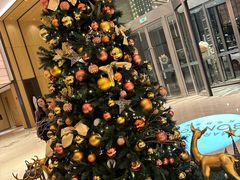-广州奥园喜来登酒店