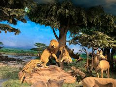 -国家自然博物馆