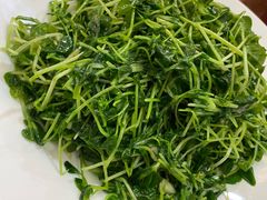 豌豆苗-赵记煎饼卷大葱(东岳店)