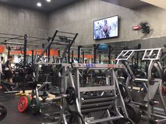 -健身专家Wellness Experts