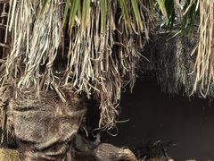 -田德能咖啡博物馆