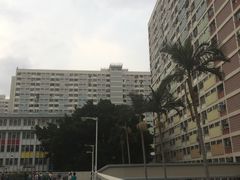 -彩虹村