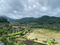 -福建土楼（华安）旅游区•大地土楼群
