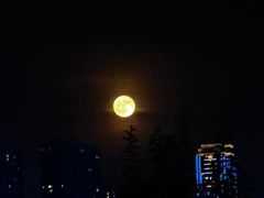 -武昌江滩