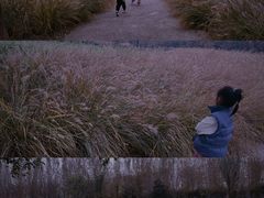 -汉长安城未央宫国家考古遗址公园