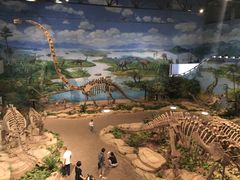 -自贡恐龙博物馆