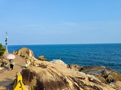 -广东惠东海龟国家级自然保护区